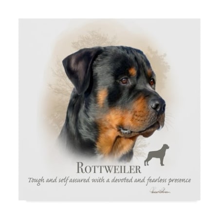 Howard Robinson 'Rottweiler' Canvas Art,14x14